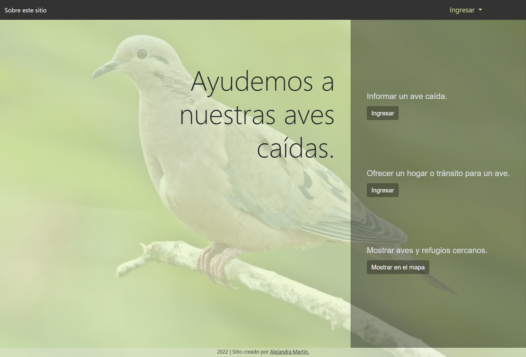 Proyecto Aves